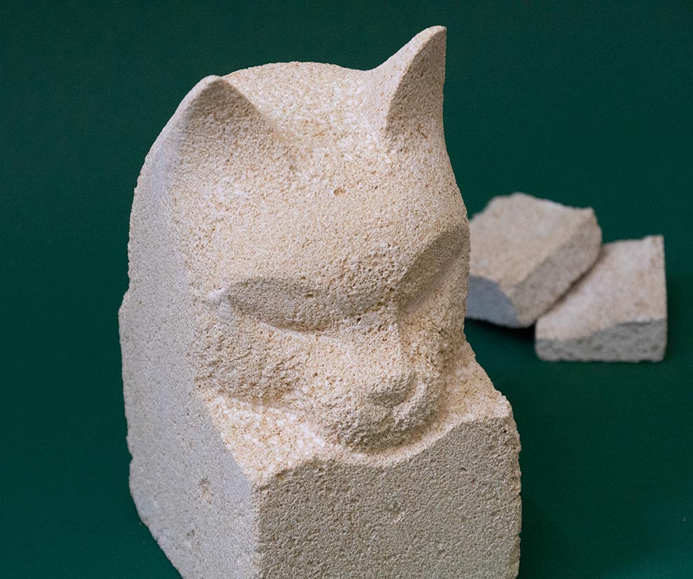 Katze