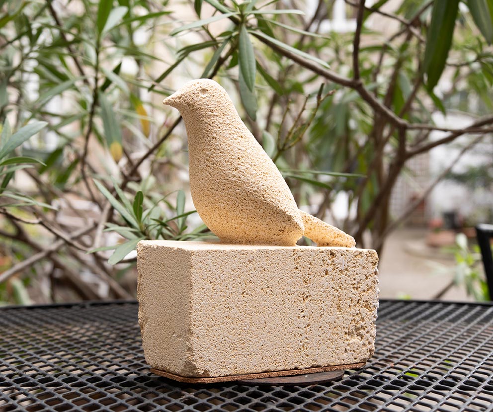 Vögel