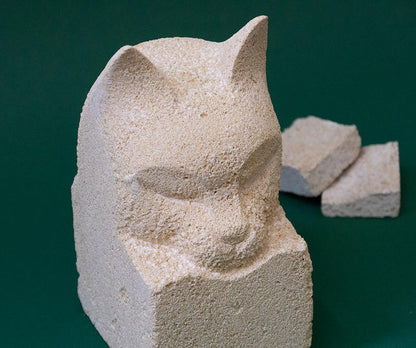 Katze