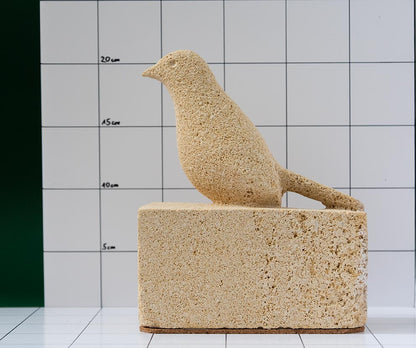 Vogel 5