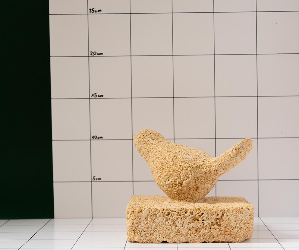 Vogel 6