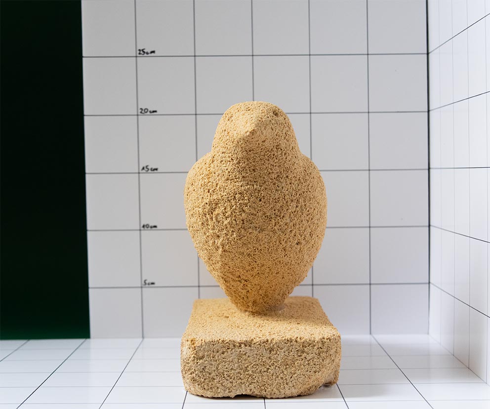 Vogel 7
