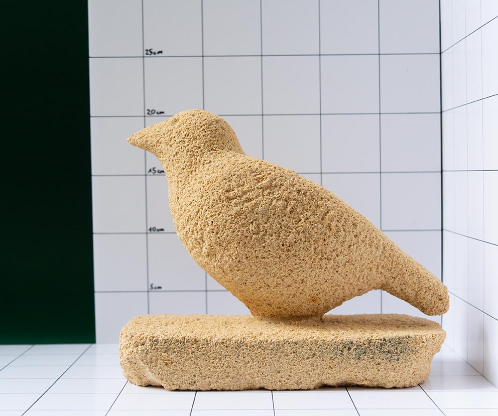 Vogel 7