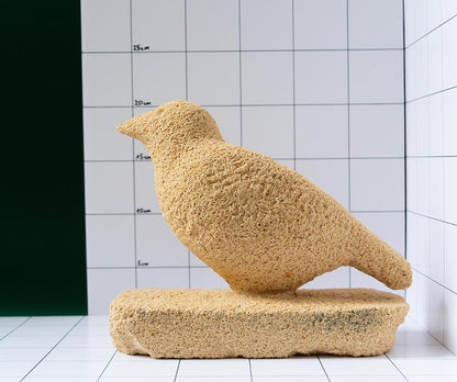 Vogel 7