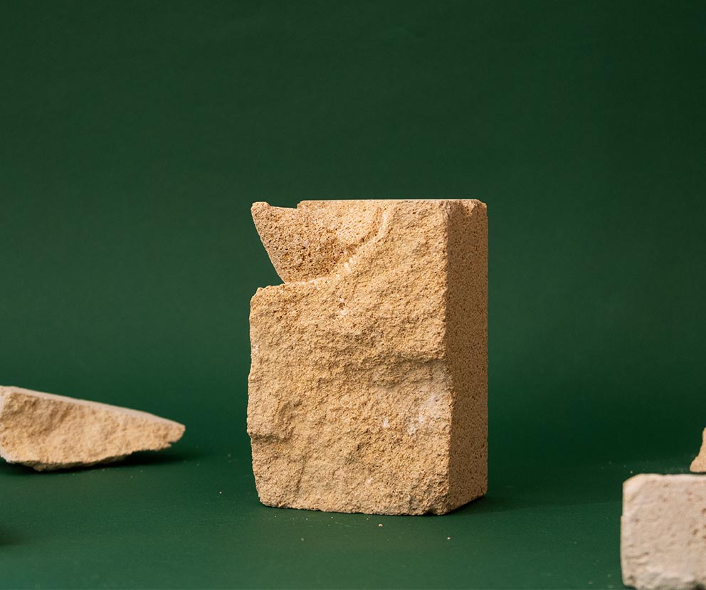 Mauskopf 3