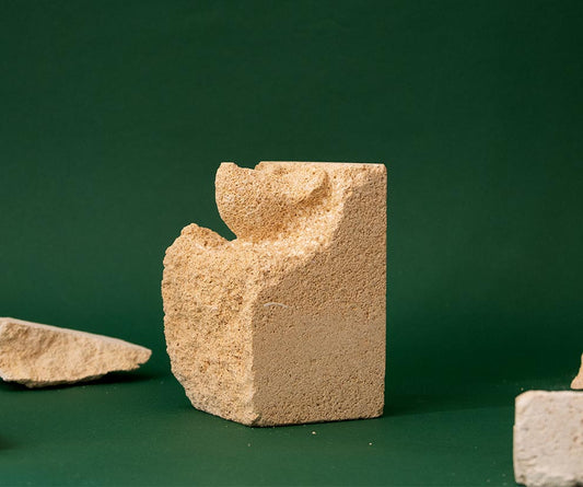Mauskopf 4