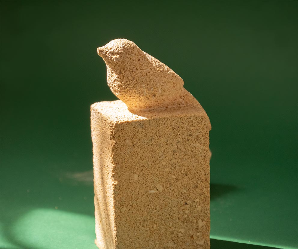 Vogel 1