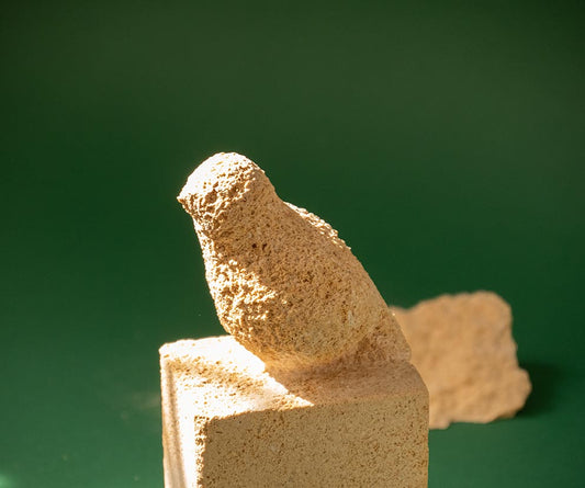 Vogel 2